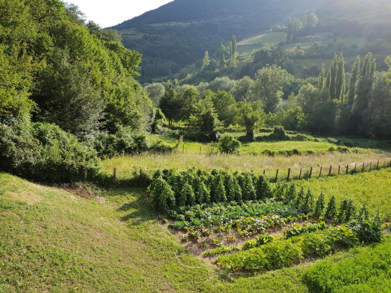 Agriturismo Il Casale Pica Posta Ngoại thất bức ảnh